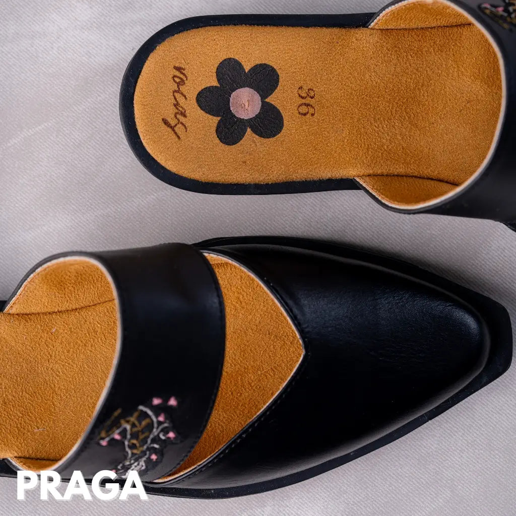 Praga 10