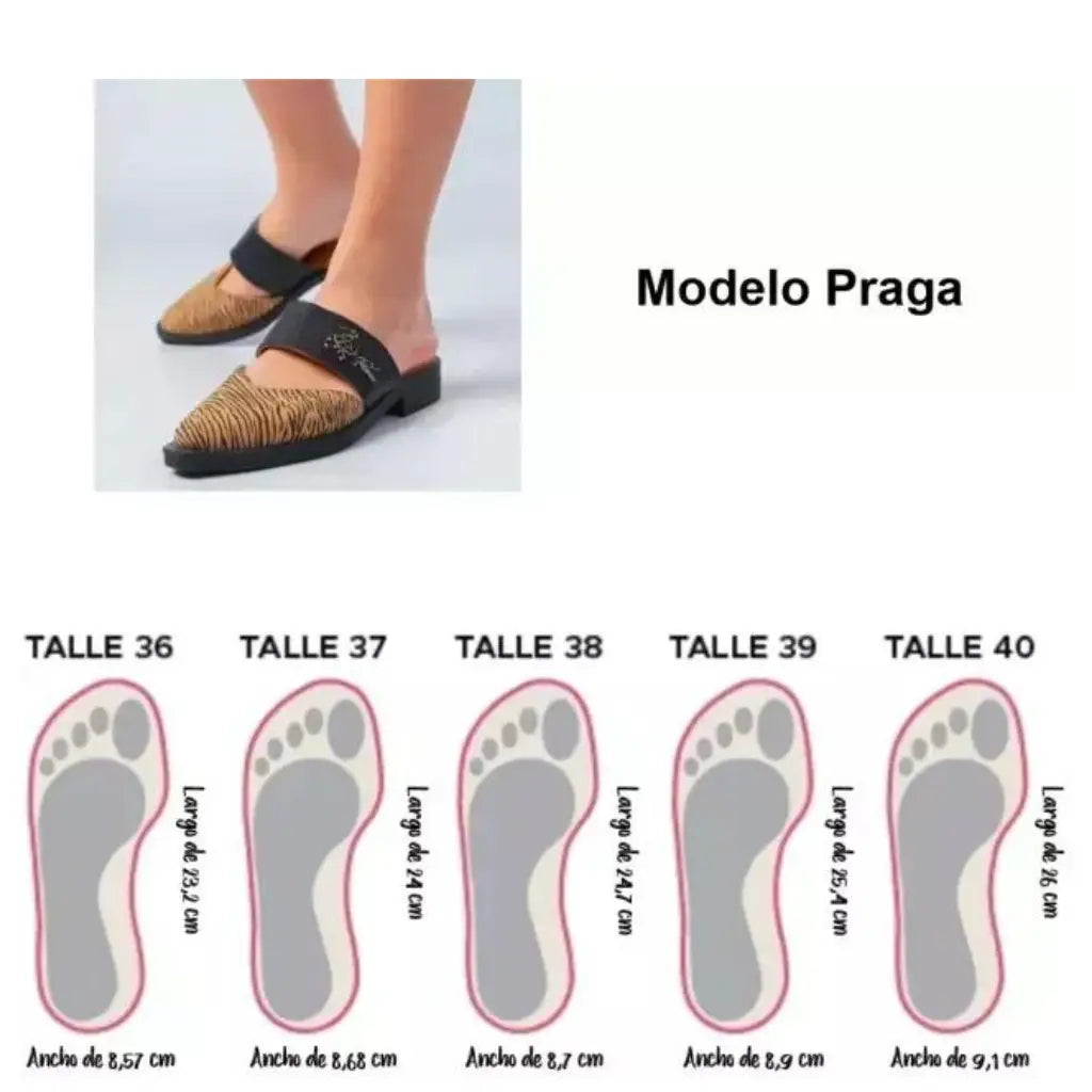 Praga CC