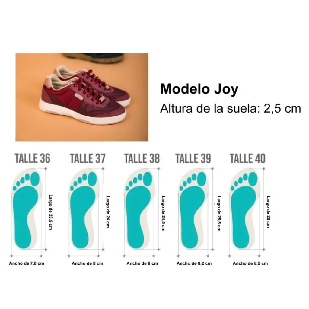 Joy 3B
